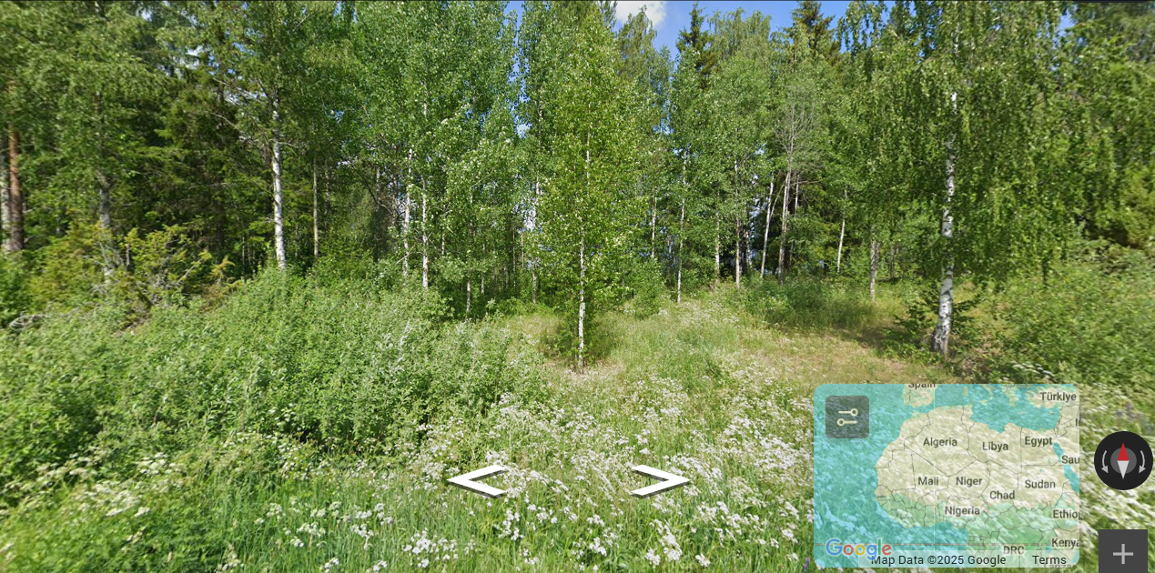 GeoGuessr